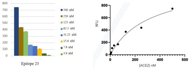 ACE2 Linearity Assays Spike Proteins