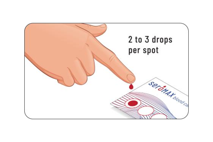 5. Gently drip blood onto all 4 circles of the blood card
6. Insert blood card into the biohazard bag before posting the box  back to your service provider